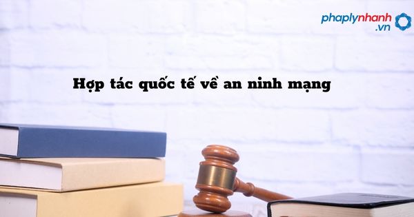 Hợp tác quốc tế về an ninh mạng như thế nào? 1 Hợp tác quốc tế về an ninh mạng - hỗ trợ, tư vấn pháp lý nhanh