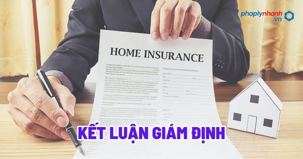 Kết luận giám định? 1 Kết luận giám định - Tư vấn, hỗ trợ pháp lý nhanh