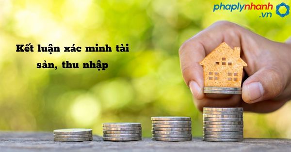 Kết luận xác minh tài sản, thu nhập như thế nào? 1 Kết luận xác minh tài sản, thu nhập - hỗ trợ, tư vấn pháp lý nhanh