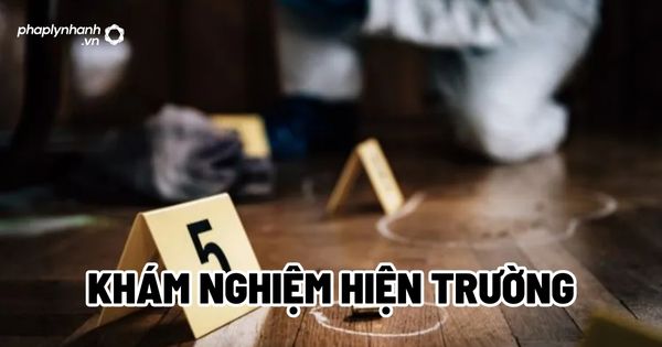 Khám nghiệm hiện trường là gì? 1 Khám nghiệm hiện trường - Tư vấn, hỗ trợ pháp lý nhanh