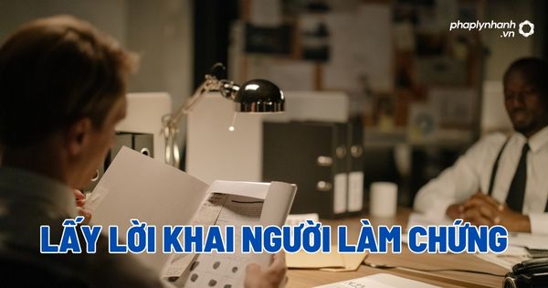 Lấy lời khai người làm chứng - Tư vấn, hỗ trợ pháp lý nhanh