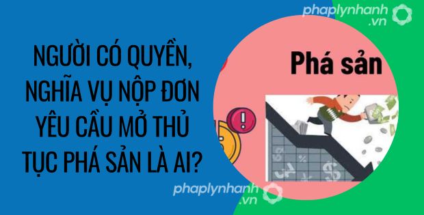 NGƯỜI CÓ QUYỀN, NGHĨA VỤ NỘP ĐƠN YÊU CẦU MỞ THỦ TỤC PHÁ SẢN LÀ AI
