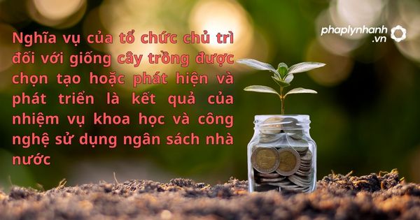Nghĩa vụ của tổ chức chủ trì đối với giống cây trồng được chọn tạo hoặc phát hiện và phát triển là kết quả của nhiệm vụ khoa học và công nghệ sử dụng ngân sách nhà nước - hỗ trợ, tư vấn pháp lý nhanh