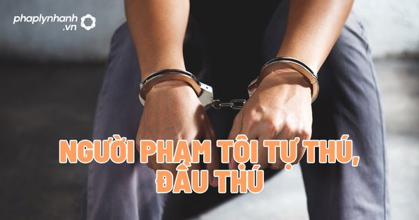 Người phạm tội tự thú, đầu thú - Tư vấn, hỗ trợ pháp lý nhanh