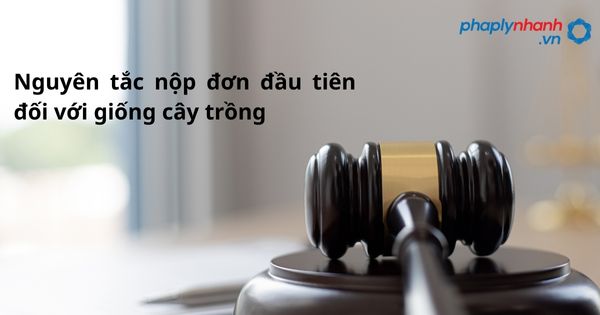 Nguyên tắc nộp đơn đầu tiên đối với giống cây trồng - hỗ trợ, tư vấn pháp lý nhanh