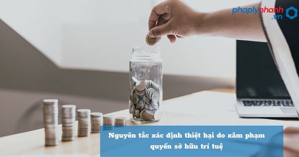 Nguyên tắc xác định thiệt hại do xâm phạm quyền sở hữu trí tuệ như thế nào? 1 Nguyên tắc xác định thiệt hại do xâm phạm quyền sở hữu trí tuệ - hỗ trợ, tư vấn pháp lý nhanh