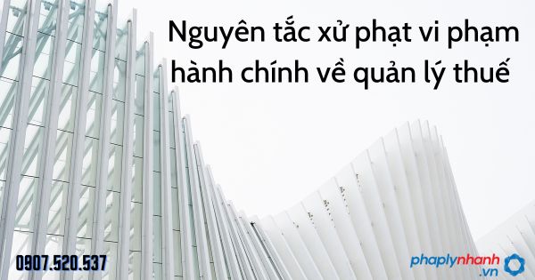 Nguyên tắc xử phạt vi phạm hành chính về quản lý thuế - tư vấn hỗ trợ pháp lý nhanh
