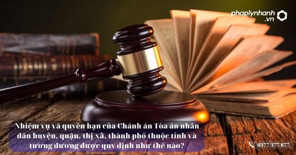 Nhiệm vụ và quyền hạn của Chánh án Tòa án nhân dân huyện, quận, thị xã, thành phố thuộc tỉnh và tương đương được quy định như thế nào? 8 Tòa án nhân dân huyện - Tư vấn, hỗ trợ pháp lý nhanh
