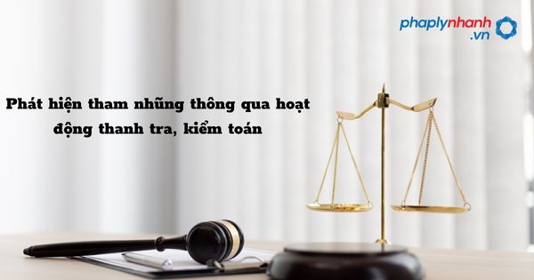 Phát hiện tham nhũng thông qua hoạt động thanh tra, kiểm toán được quy định như thế nào? 1 Phát hiện tham nhũng thông qua hoạt động thanh tra, kiểm toán - hỗ trợ, tư vấn pháp lý nhanh
