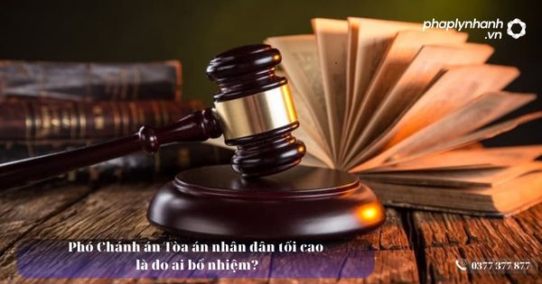 Phó Chánh án Tòa án nhân dân tối cao là do ai bổ nhiệm? 10 Phó Chánh án Tòa án nhân dân tối cao là do ai bổ nhiệm - Tư vấn, hỗ trợ pháp lý nhanh