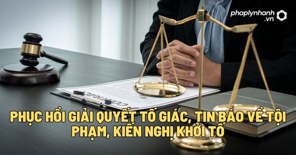 Phục hồi giải quyết tố giác, tin báo về tội phạm, kiến nghị khởi tố? 1 Phục hồi giải quyết tố giác, tin báo về tội phạm, kiến nghị khởi tố - Tư vấn, hỗ trợ pháp lý nhanh