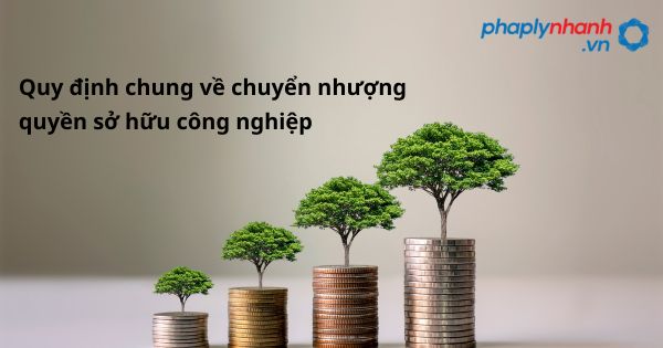 Quy định chung về chuyển nhượng quyền sở hữu công nghiệp như thế nào? 1 Quy định chung về chuyển nhượng quyền sở hữu công nghiệp - hỗ trợ, tư vấn pháp lý nhanh