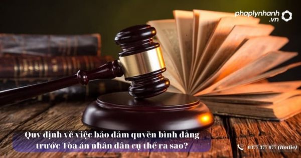 Quy định về việc bảo đảm quyền bình đẳng trước Tòa án nhân dân cụ thể ra sao? 17 Quy định về việc bảo đảm quyền bình đẳng trước Tòa án nhân dân cụ thể ra sao - Tư vấn hỗ trợ pháp lý nhanh