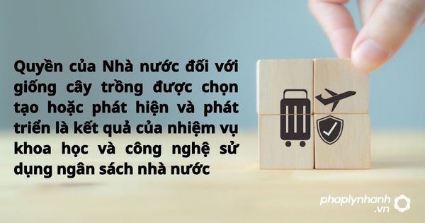 Quyền của Nhà nước đối với giống cây trồng được chọn tạo hoặc phát hiện và phát triển là kết quả của nhiệm vụ khoa học và công nghệ sử dụng ngân sách nhà nước - hỗ trợ, tư vấn pháp lý nhanh