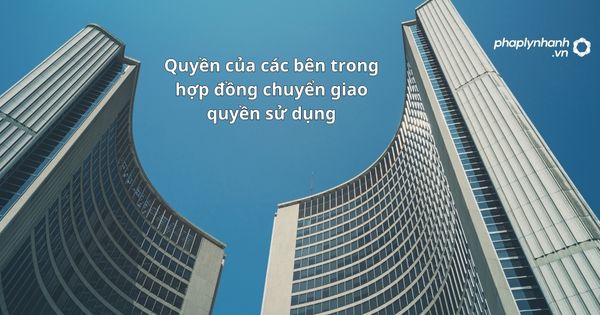 Quyền của các bên trong hợp đồng chuyển giao quyền sử dụng - hỗ trợ, tư vấn pháp lý nhanh