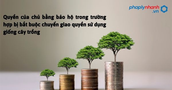Quyền của chủ bằng bảo hộ trong trường hợp bị bắt buộc chuyển giao quyền sử dụng giống cây trồng - hỗ trợ , tư vấn pháp lý nhanh