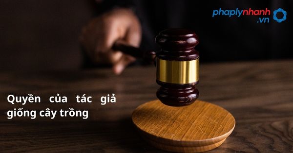 Quyền của tác giả giống cây trồng - hỗ trợ. tư vấn pháp lý nhanh