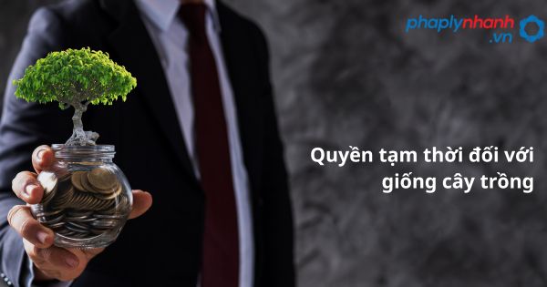 Quyền tạm thời đối với giống cây trồng - hỗ trợ, tư vấn pháp lý nhanh