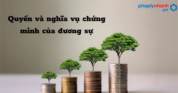 Quyền và nghĩa vụ chứng minh của đương sự như thế nào? 1 Quyền và nghĩa vụ chứng minh của đương sự - hỗ trợ, tư ván pháp lý nhanh