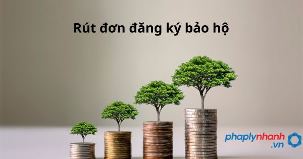 Rút đơn đăng ký bảo hộ như thế nào? 1 Rút đơn đăng ký bảo hộ - hỗ trợ, tư vấn pháp lý nhanh