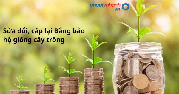 Sửa đổi, cấp lại Bằng bảo hộ giống cây trồng như thế nào? 1 Sửa đổi, cấp lại Bằng bảo hộ giống cây trồng - hỗ trợ, tư vấn pháp lý nhanh