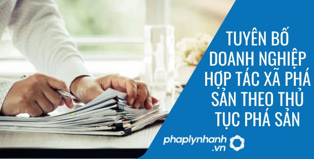 TUYÊN BỐ DOANH NGHIỆP, HỢP TÁC XÃ PHÁ SẢN THEO THỦ TỤC RÚT GỌN 1 TUYÊN BỐ DOANH NGHIỆP HỢP TÁC XÃ PHÁ SẢN THEO THỦ TỤC PHÁ SẢN