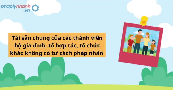 Tài sản chung của các thành viên hộ gia đình, tổ hợp tác, tổ chức khác không có tư cách pháp nhân được quy định như thế nào? 1 Tài sản chung của các thành viên hộ gia đình, tổ hợp tác, tổ chức khác không có tư cách pháp nhân được quy định như thế nào?