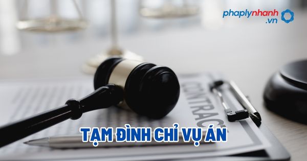 Tạm đình chỉ vụ án? 6 Tạm đình chỉ vụ án - Tư vấn, hỗ trợ pháp lý nhanh