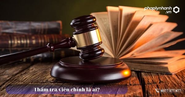 Thẩm tra viên chính là ai? 18 Thẩm tra viên chính là ai - Tư vấn, hỗ trợ pháp lý nhanh