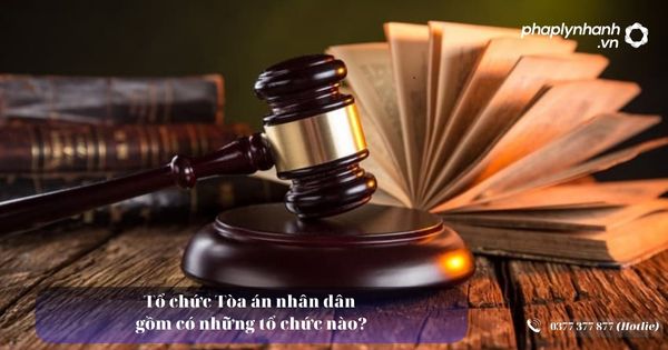 Tổ chức Tòa án nhân dân gồm có những tổ chức nào? 7 Tổ chức Tòa án nhân dân gồm có những tổ chức nào?