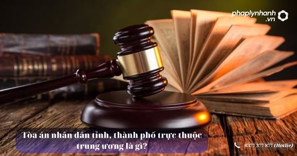 Tòa án nhân dân tỉnh, thành phố trực thuộc trung ương là gì? 13 Tòa án nhân dân tỉnh, thành phố trực thuộc trung ương là gì?