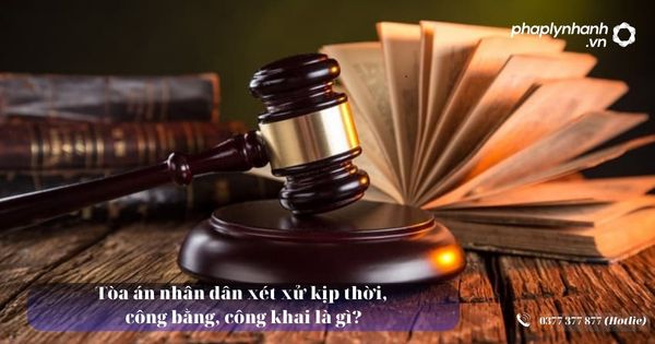 Tòa án nhân dân xét xử kịp thời, công bằng, công khai là gì? 1 Tòa án nhân dân xét xử kịp thời, công bằng, công khai là gì - Tư vấn, hỗ trợ pháp lý nhanh