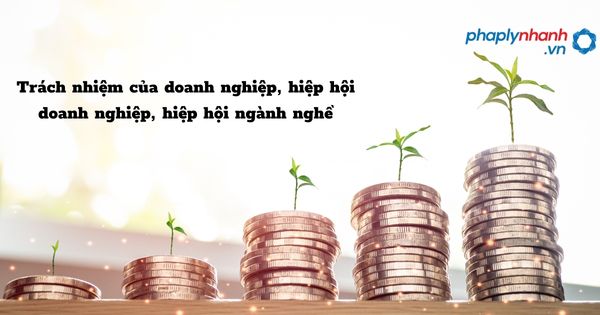 Trách nhiệm của doanh nghiệp, hiệp hội doanh nghiệp, hiệp hội ngành nghề trong phòng chống tham nhũng? 1 Trách nhiệm của doanh nghiệp, hiệp hội doanh nghiệp, hiệp hội ngành nghề - hỗ trợ, tư vấn pháp lý nhanh