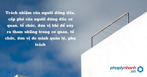 Trách nhiệm của người đứng đầu, cấp phó của người đứng đầu cơ quan, tổ chức, đơn vị khi để xảy ra tham nhũng trong cơ quan, tổ chức, đơn vị do mình quản lý, phụ trách - hỗ trợ, tư vấn pháp lý nhanh