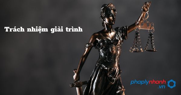 Trách nhiệm giải trình - hỗ trợ, tư vấn pháp lý nhanh