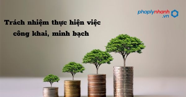 Trách nhiệm thực hiện việc công khai, minh bạch trong phòng chống tham nhũng - hỗ trợ, tư vấn pháp lý nhanh