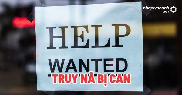 Truy nã bị can? 17 Truy nã bị can - Tư vấn, hỗ trợ pháp lý nhanh