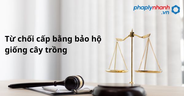 Từ chối cấp Bằng bảo hộ giống cây trồng như thế nào? 1 Từ chối cấp bằng bảo hộ giống cây trồng - hỗ trợ, tư vấn pháp lý nhanh