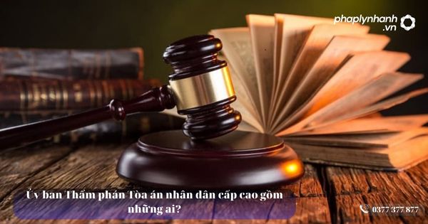 Ủy ban Thẩm phán Tòa án nhân dân cấp cao gồm những ai? 3 Ủy ban Thẩm phán Tòa án nhân dân cấp cao gồm những ai - Tư vấn, hỗ trợ pháp lý nhanh