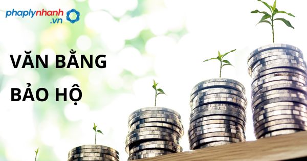 VĂN BẰNG BẢO HỘ - HỖ TRỢ, TƯ VẤN PHÁP LÝ NHANH