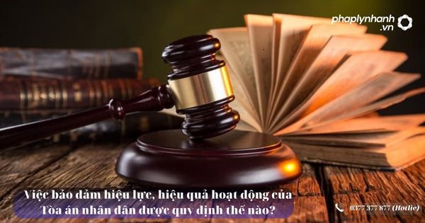 Việc bảo đảm hiệu lực, hiệu quả hoạt động của Tòa án nhân dân được quy định thế nào? 1 Việc bảo đảm hiệu lực, hiệu quả hoạt động của Tòa án nhân dân được quy định thế nào - Tư vấn, hỗ trợ pháp lý nhanh