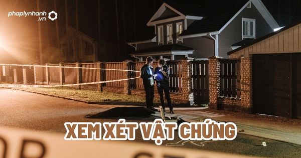 Xem xét vật chứng? 9 Xem xét vật chứng - Tư vấn, hỗ trợ pháp lý nhanh