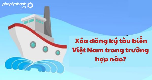 Xóa đăng ký tàu biển Việt Nam trong trường hợp nào