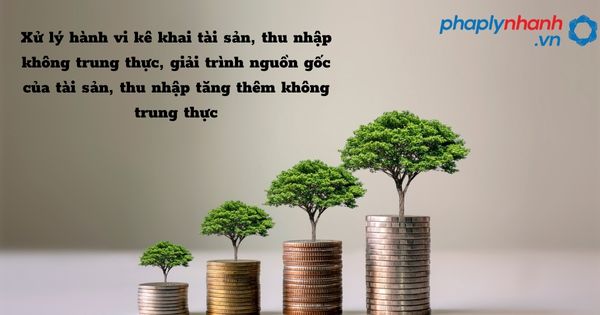 Xử lý hành vi kê khai tài sản, thu nhập không trung thực, giải trình nguồn gốc của tài sản, thu nhập tăng thêm không trung thực như thế nào? 6 Xử lý hành vi kê khai tài sản, thu nhập không trung thực, giải trình nguồn gốc của tài sản, thu nhập tăng thêm không trung thực - hỗ trợ, tư vấn pháp lý nhanh