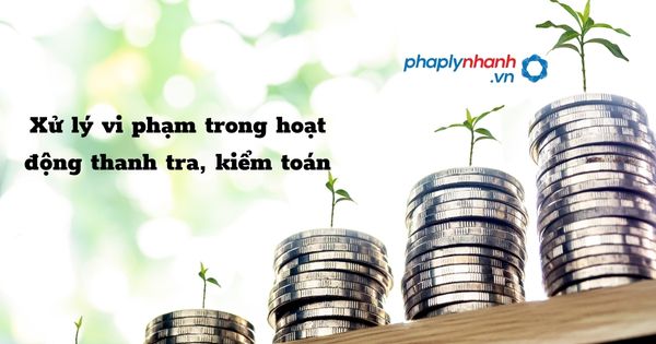Xử lý vi phạm trong hoạt động thanh tra, kiểm toán như thế nào? 1 Xử lý vi phạm trong hoạt động thanh tra, kiểm toán - hỗ trợ, tư vấn pháp lý nhanh