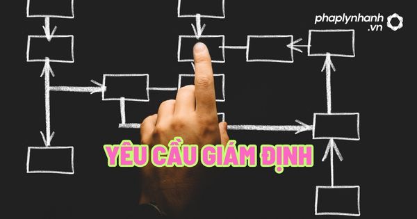 Yêu cầu giám định? 4 Yêu cầu giám định - Tư vấn, hỗ trợ pháp lý nhanh