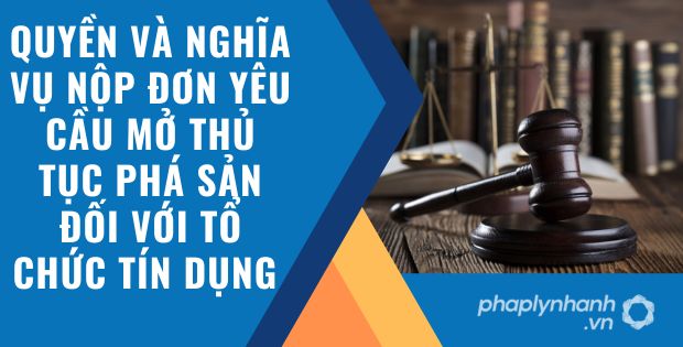 QUYỀN VÀ NGHĨA VỤ NỘP ĐƠN YÊU CẦU MỞ THỦ TỤC PHÁ SẢN ĐỐI VỚI TỔ CHỨC TÍN DỤNG 1 quyền và nghĩa vụ nộp đơn yêu cầu mở thủ tục phá sản đối với tổ chức tín dụng