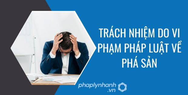 trách nhiệm do vi phạm pháp luật về phá sản