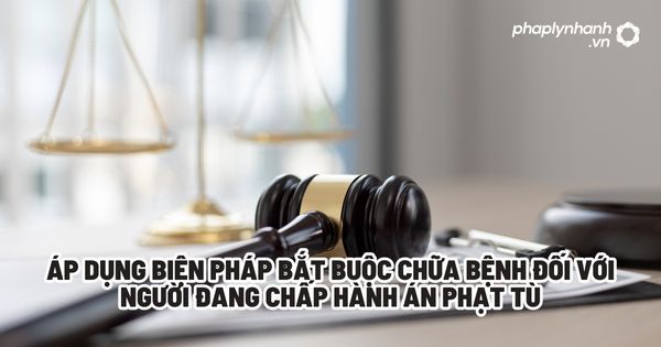 Áp dụng biện pháp bắt buộc chữa bệnh đối với người đang chấp hành án phạt tù? 1 Áp dụng biện pháp bắt buộc chữa bệnh đối với người đang chấp hành án phạt tù - Tư vấn, hỗ trợ pháp lý nhanh
