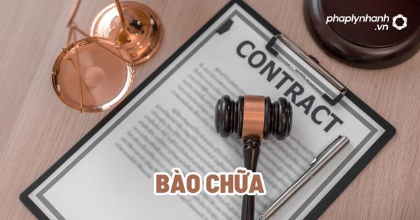 Lựa chọn người bào chữa? 1 Người Bào chữa - Tư vấn, hỗ trợ pháp lý nhanh